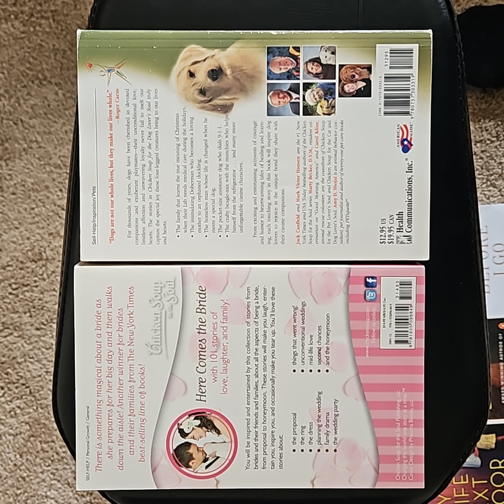 Chicken Soup book bundle - Picture 2 of 4